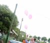 Aniversrio Sophia