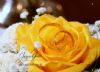 Casamento Mirian e Jacques