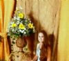 Casamento Mirian e Jacques