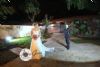 Casamento Bruna e Douglas