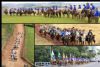 Cavalgada da Integrao 2016
