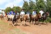 Cavalgada da Integrao 2016