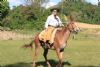 Cavalgada da Integrao 2016