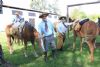 Cavalgada da Integrao 2016