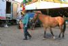 Cavalgada da Integrao 2016