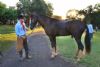 Cavalgada da Integrao 2016