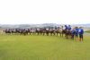 Cavalgada da Integrao 2016