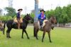 Cavalgada da Integrao 2016