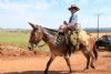 Cavalgada da Integrao 2016