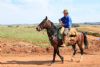 Cavalgada da Integrao 2016